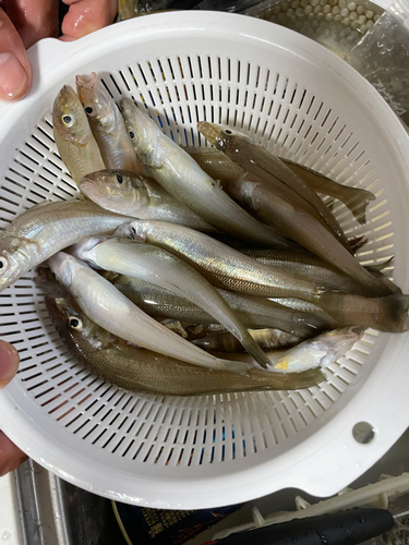 宮津湾